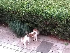 -Chili's Cafe&Bar奇利斯(滨江店)