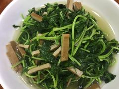 -全乐鱼馆·淳牌有机鱼直营店
