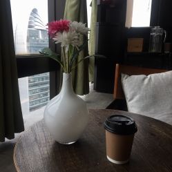 -V-STAR威斯达•高级私人定制