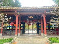 -顺峰山公园