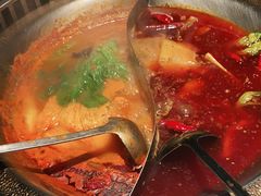 -辣伍鲜毛肚老火锅(元一店)