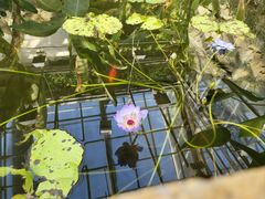 -北京植物园-展览温室