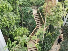 -郑州植物园