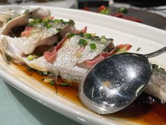 -柳莺湖上·湖景餐厅·江南菜(西湖店)