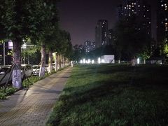 -龙头寺公园