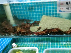 -汤品小厨·海鲜·烧烤·家常菜