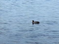 -野鸭湖国家湿地公园