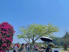 -东莞植物园