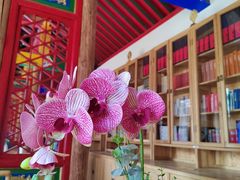 -护国法轮寺