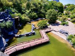 -上海吴淞炮台湾国家湿地公园