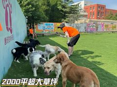 -趣玩宠物乐园寄养训犬训狗游泳池