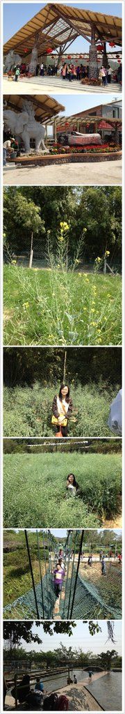 71e310f1jw1e2je20j21hj-盈香心动乐园