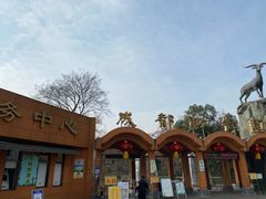 -成都动物园