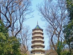 -灵谷景区