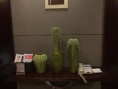 -常州环球恐龙城维景国际大酒店
