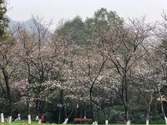 -中国茶叶博物馆(双峰馆区)