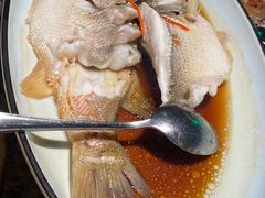 清蒸鲈鱼-新白鹿餐厅(松江开元地中海店)