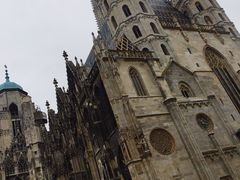 -斯蒂芬主教座堂(Stephansdom)