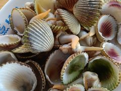 白灼鸡腿螺-蓝湾碧波·老字号·疍家非遗海上餐厅