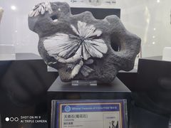 -中国地质大学逸夫博物馆