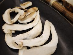 -菌自由丨野生菌火锅特色庭院餐厅(丽江古城店)