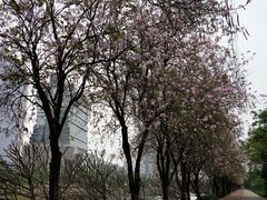 -广交会威斯汀酒店