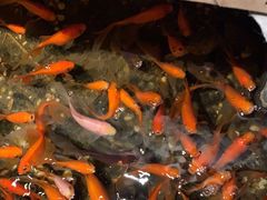 -邈墨茶馆(凤起路店)