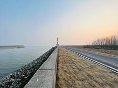 -合肥滨湖国家森林公园