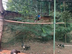 -杭州开元森泊度假乐园