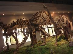 -自贡恐龙博物馆