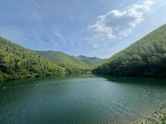 -紫藤园·天目湖大鱼头(南山竹海店)
