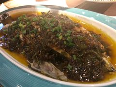 -猫头婴小酒馆FUN OWL(1912店)