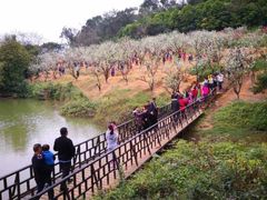 -南国桃园旅游度假区