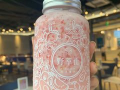 -野萃山·潮汕厚果汁(十亩地店)