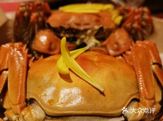 雅高心悦界x周雪龙|阳澄湖好蟹金秋赶蟹季