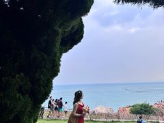 -小麦岛公园