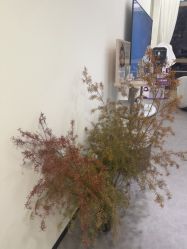 -JNK皮肤管理中心