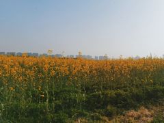 -汉长安城未央宫国家考古遗址公园