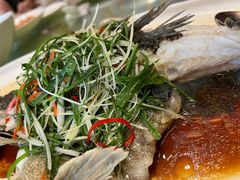 -湖影中餐厅·南京金茂威斯汀大酒店