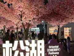 -东莞松山湖万象汇