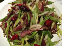 -蝴蝶汇音乐酒馆(罗湖店)