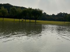 -上海方塔园