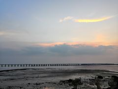 -宝安西湾红树林湿地公园