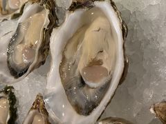 -Oyster Talks 四度蚝法餐厅
