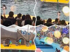 -秦皇岛乐岛海洋王国