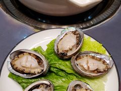 鲜活小鲍鱼-金龙·打边炉(武进路店)