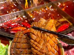 -董眼镜火锅(洪崖洞总店)