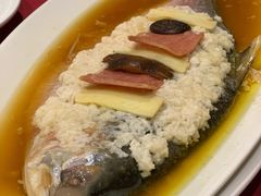 酒酿鲥鱼-老吉士酒家(天平路店)