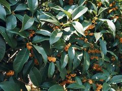 -帐篷客·溪龙茶谷度假酒店