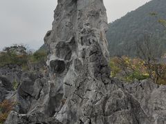 -千岛湖石林